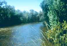Photo of river