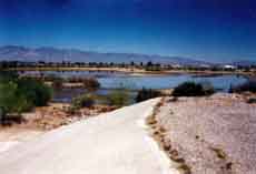 Photo of Detention Basin