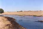 Photo of bank stabilization on the Santa Cruz River near Rillito Creek
