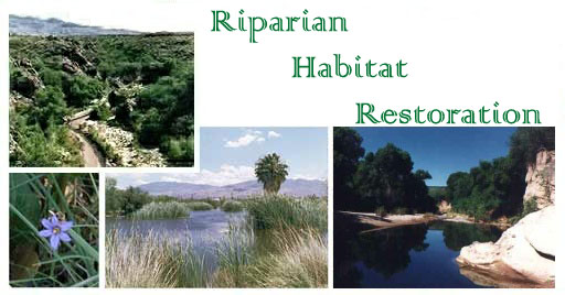 Riparian Habitat Restoration header image with collage of photos of riparian habitat.